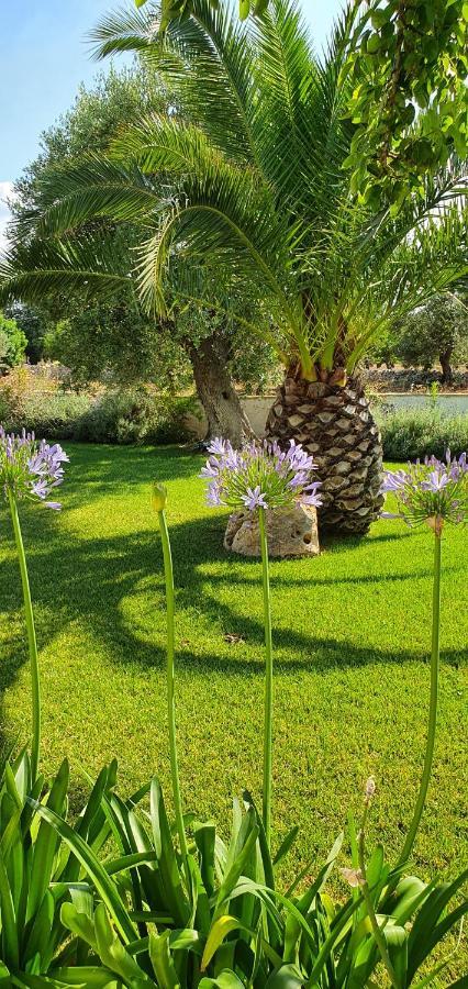 Masseria Cesarina B&B 卡斯特拉纳格罗泰 外观 照片