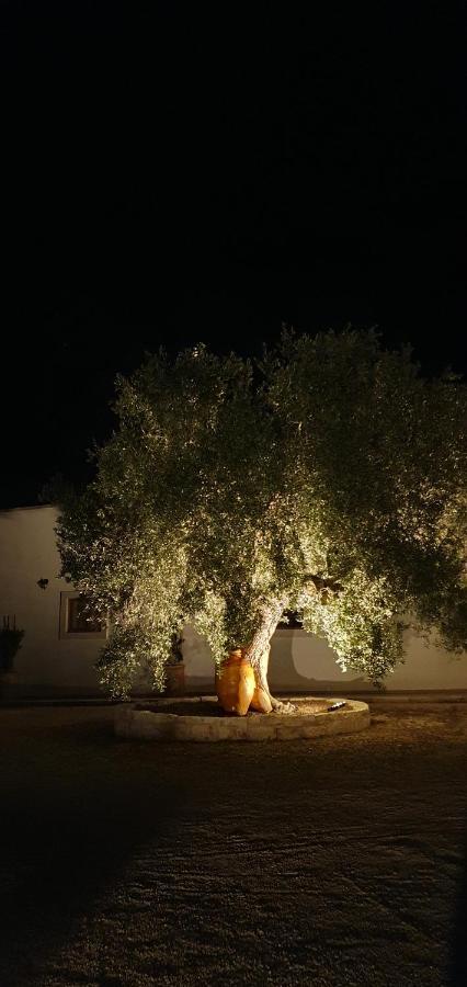 Masseria Cesarina B&B 卡斯特拉纳格罗泰 外观 照片