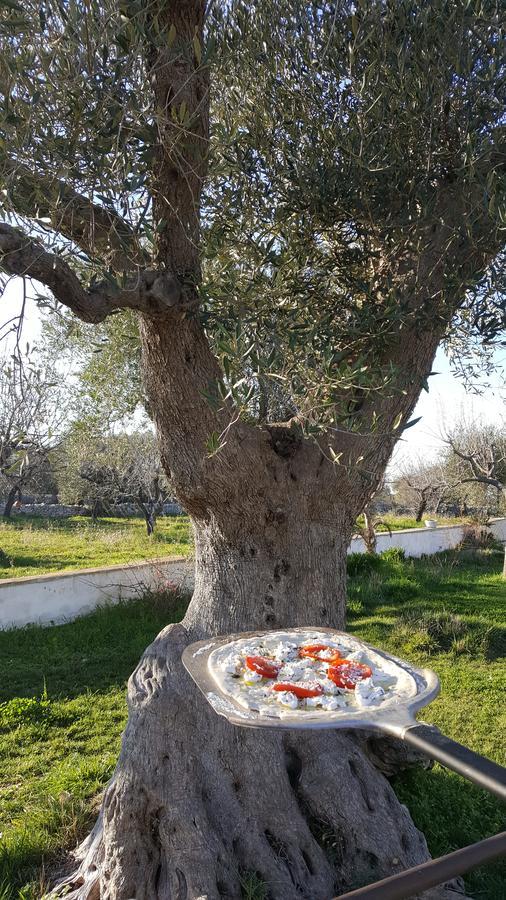 Masseria Cesarina B&B 卡斯特拉纳格罗泰 外观 照片